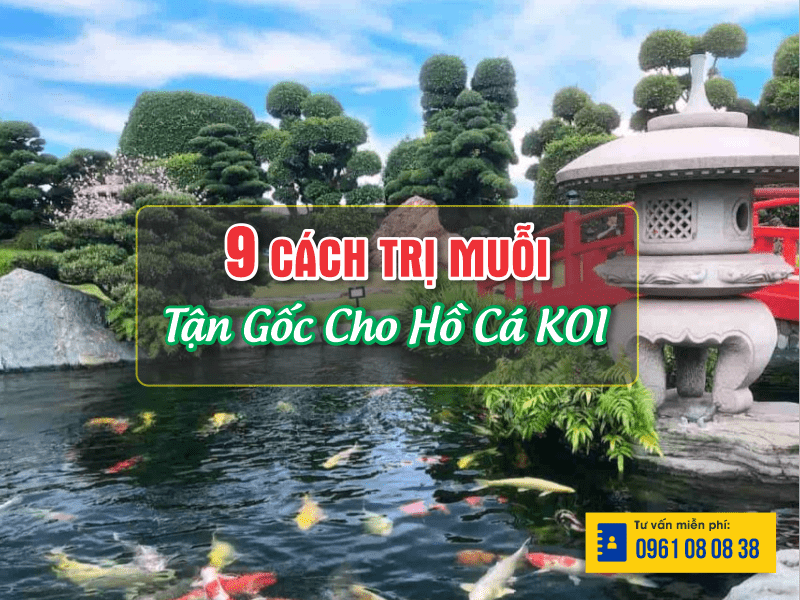 Cách Trị Muỗi Tận Gốc Cho Hồ Cá KOI